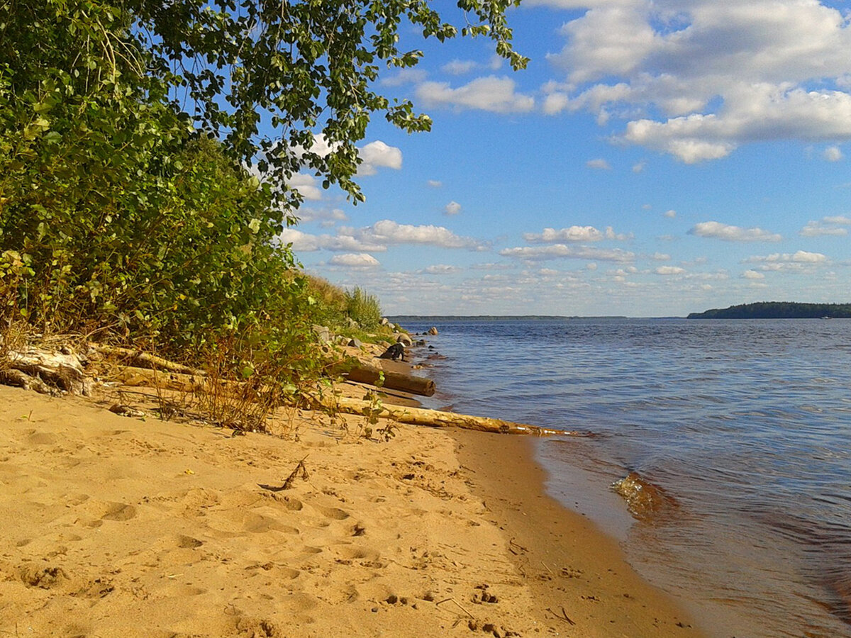 Вода  в старице прогревалась быстро, и Осиновая до самой середины лета, пока  не начинала «цвести», становилась любимым местом купания у клешемских  пострелят.