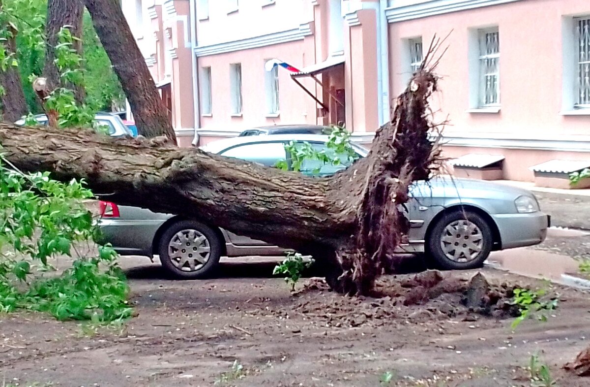 Юрий Дробышев.