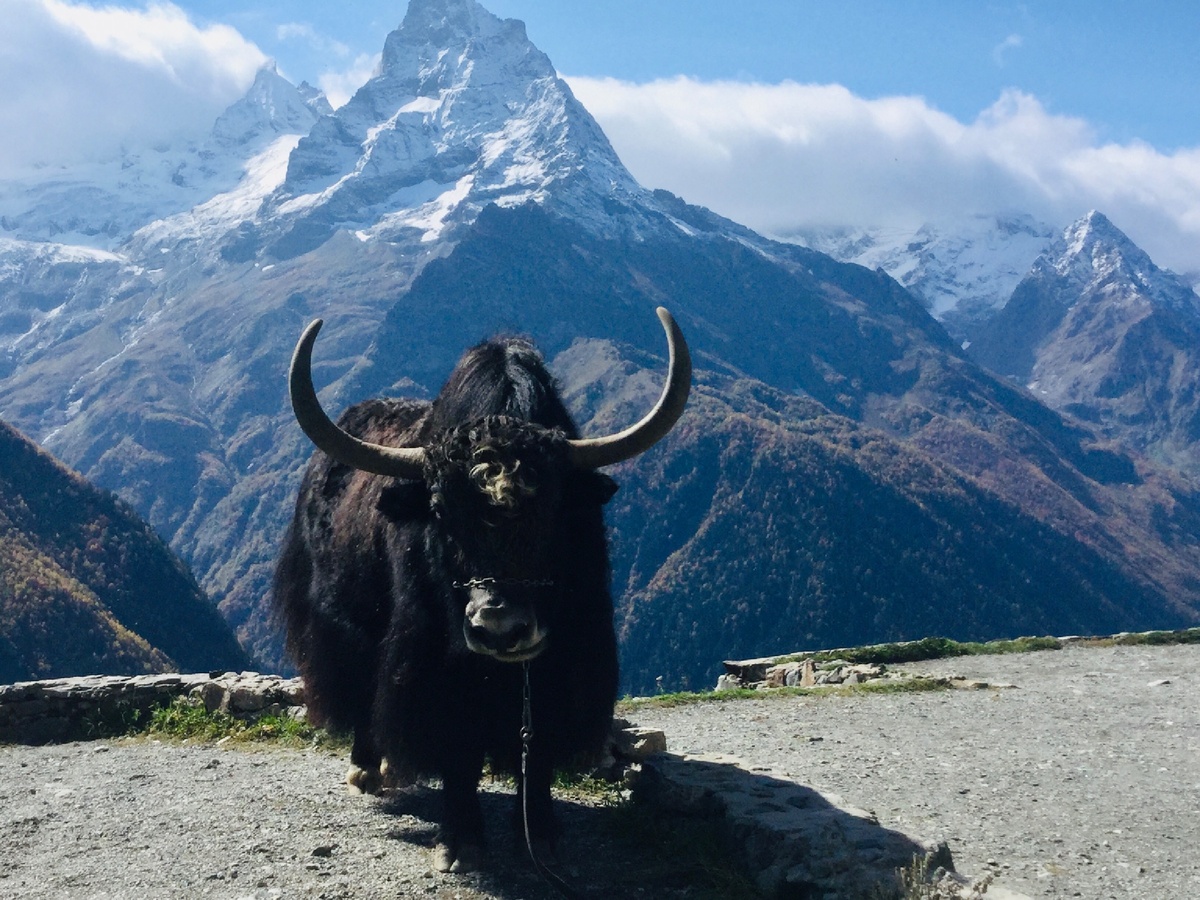 Фото из личного архива 