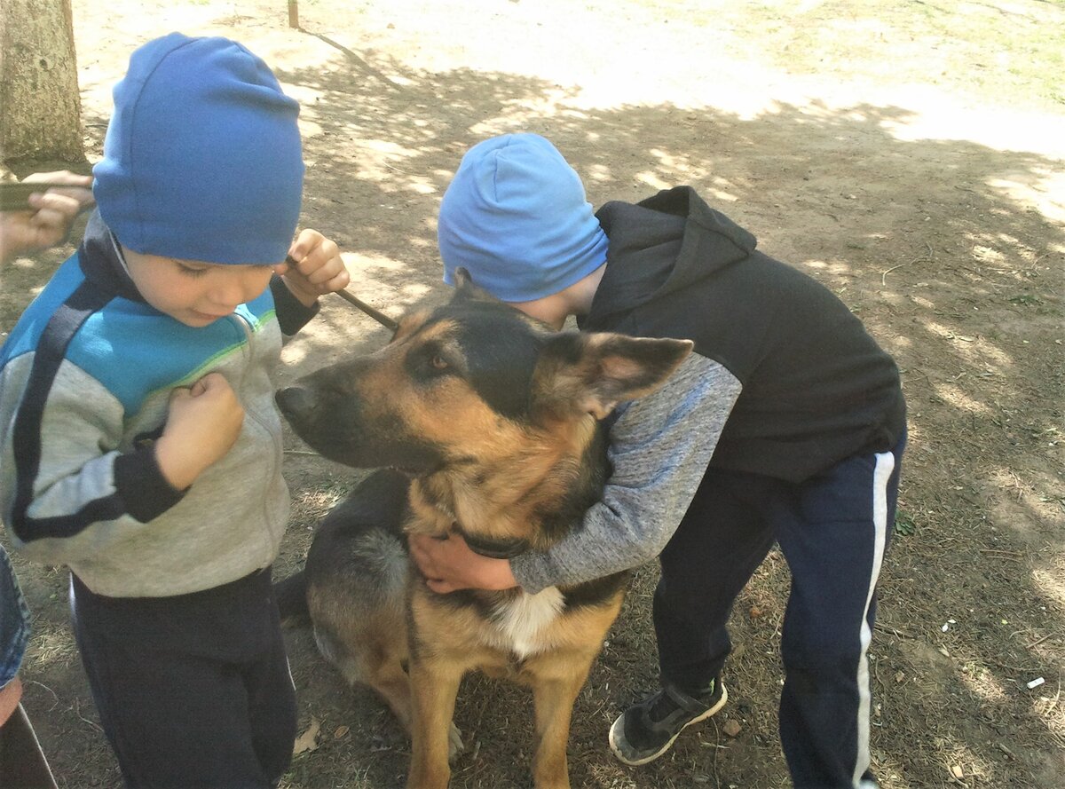 Кейси и соседские дети