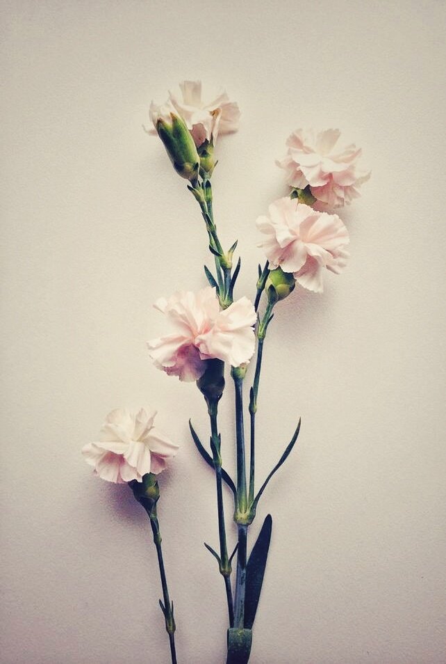 Фото с Pinterest 