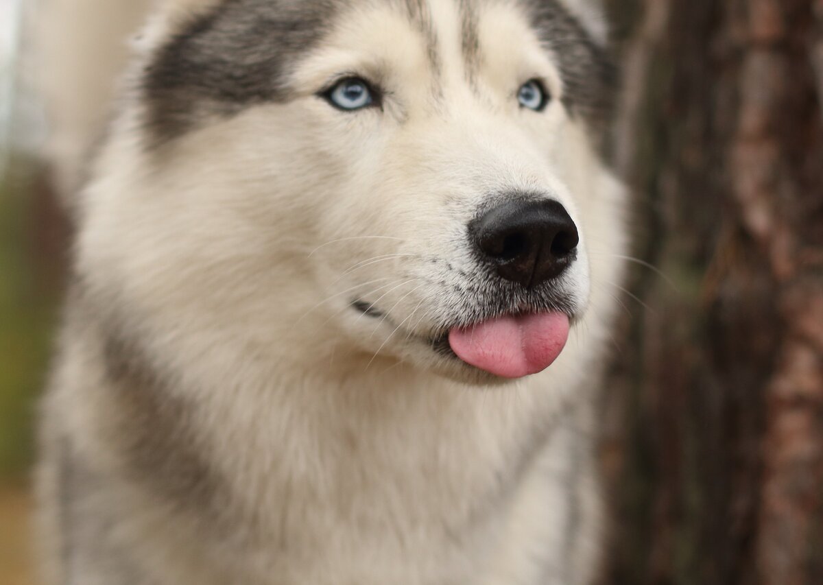 Бббака ты, Натуся, не доверяет она!!! (с) Орион