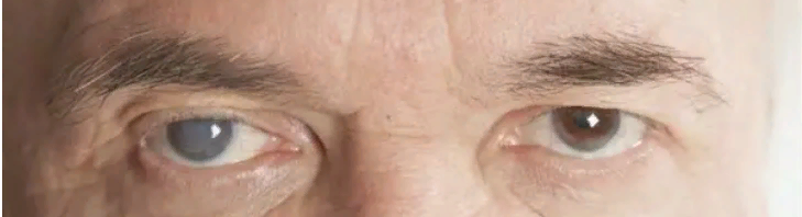 фото из свободного доступа в интернете