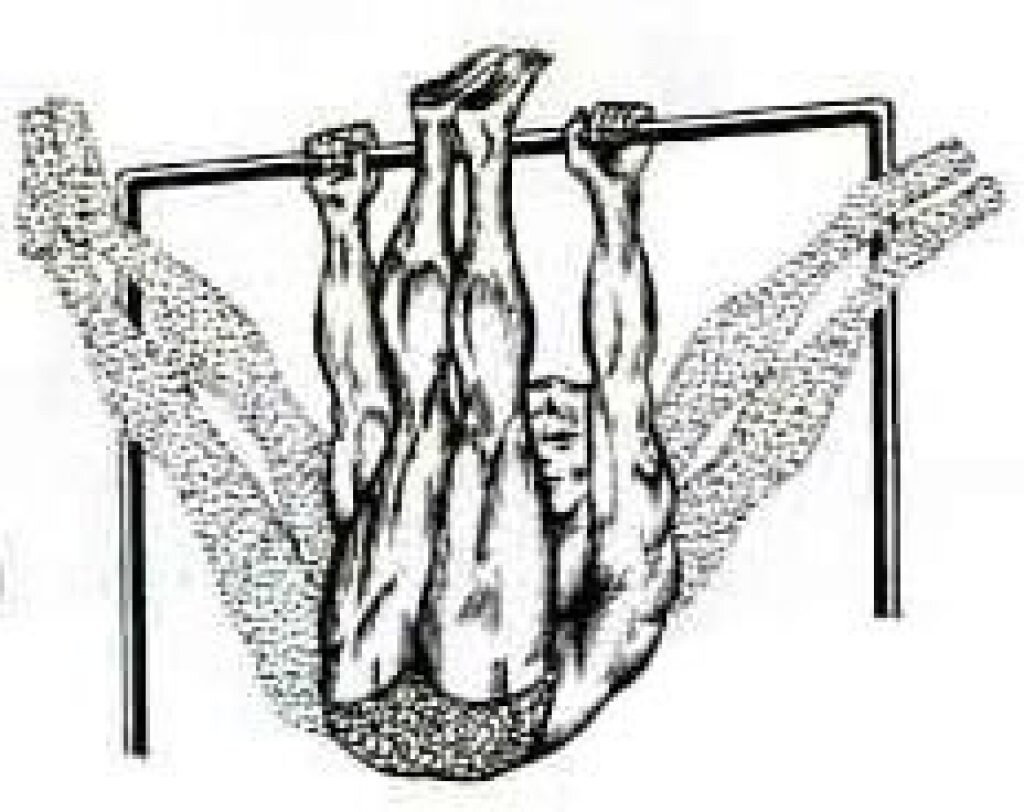 упражнения на пресс на турнике. горизонтальные подтягивания узким хватом. подтягивание ног. подтягивание ног в висе. подтягивание ног к перекладине.