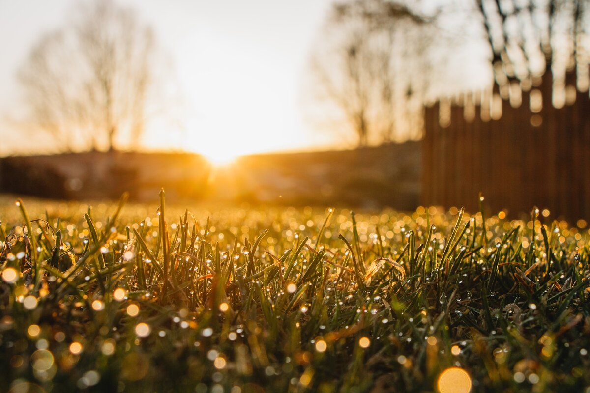 Битое солнце. Одуванчик солнце макросъемка. Солнечные лучи в окне. Треснутое стекло. Солнечный день.