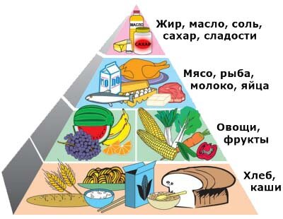  Оптимальное соотношение белков, жиров и углеводов 