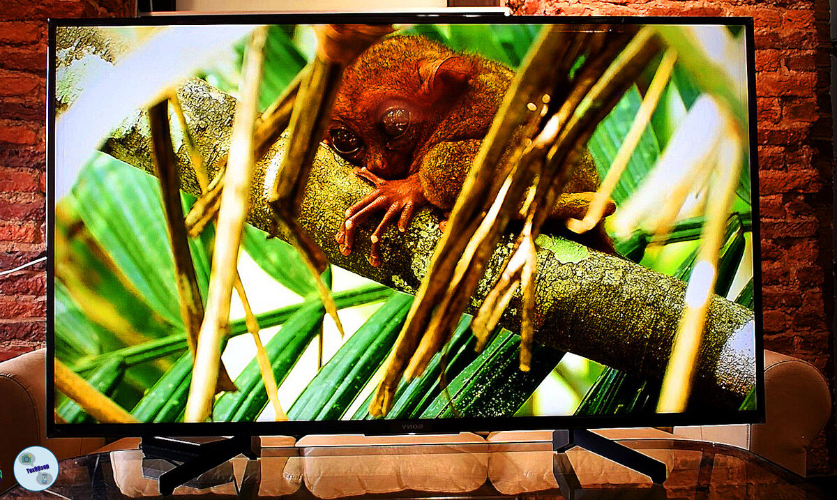 Телевизор Sony 49XG7096