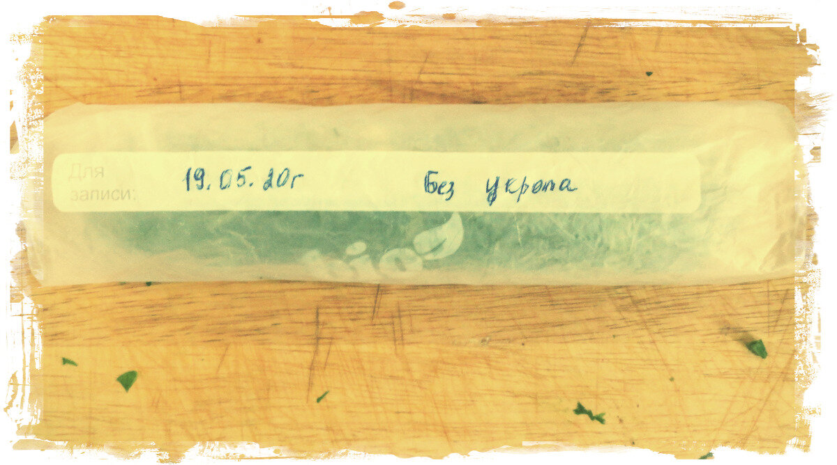 фото из статьи по заморозке для супа с щавелем Пакет с приготовленным щавелем для супа