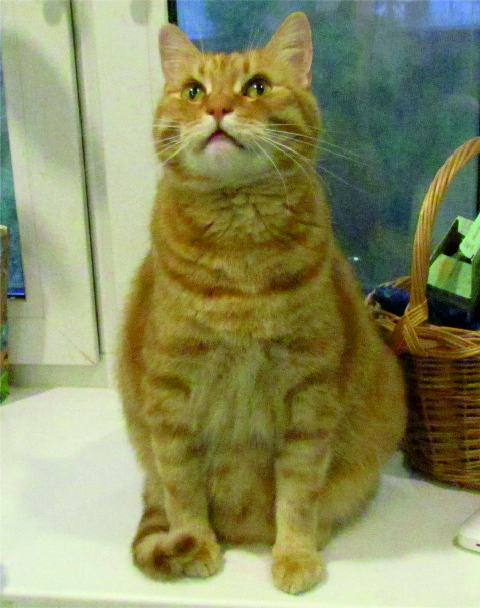 Рики. Фото автора.