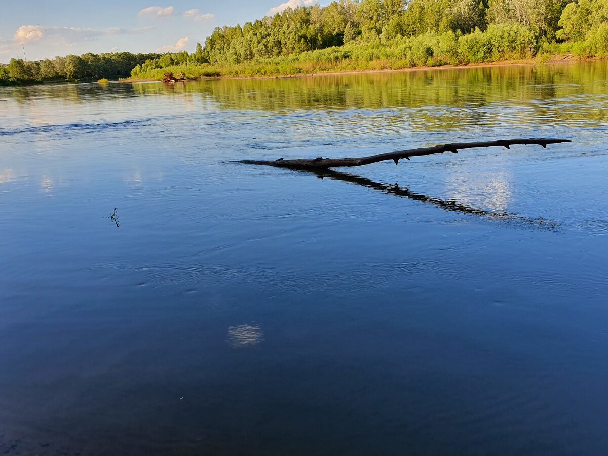 Сложность в том, что нужно точно делать забросы под корягу. После 3-х оторванных грузов у меня начало получаться. 😁