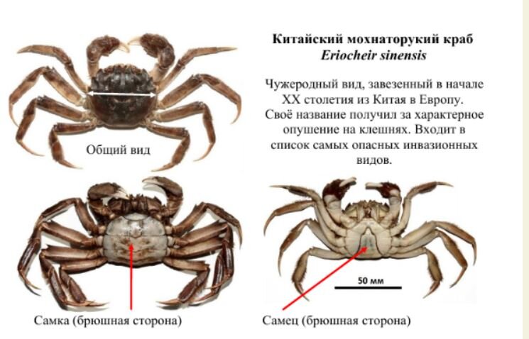 Новости и события клуба рыбаков Петербурга с водоемов