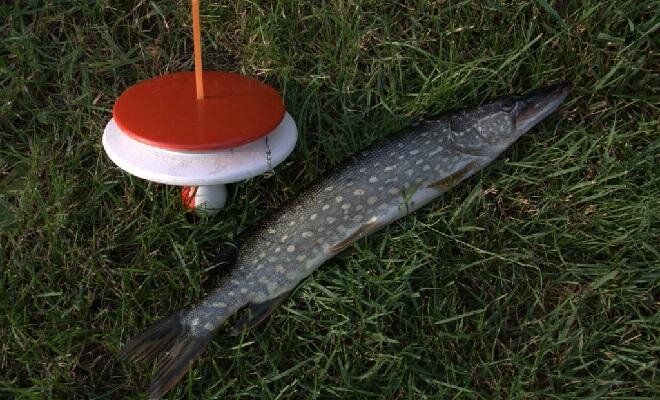 Фото: Яндекс.Картинки 