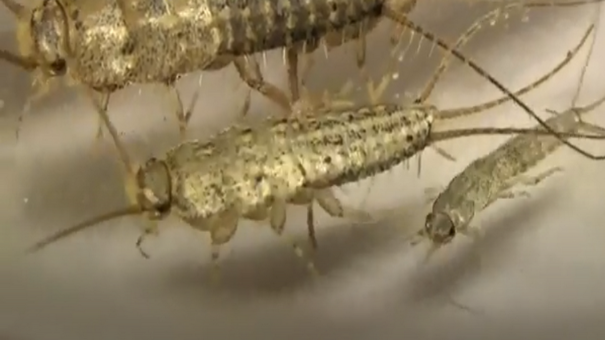 Подписывайтесь на канал и ставьте лайки