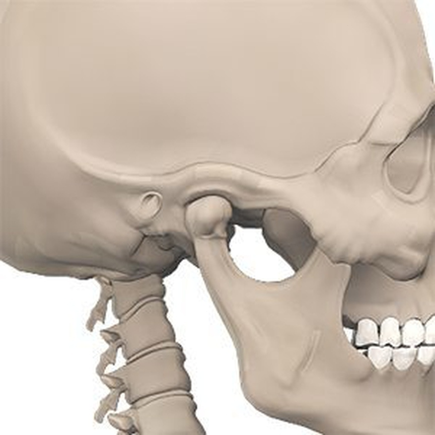 Челюстно височный сустав. Лечение челюстного артрита