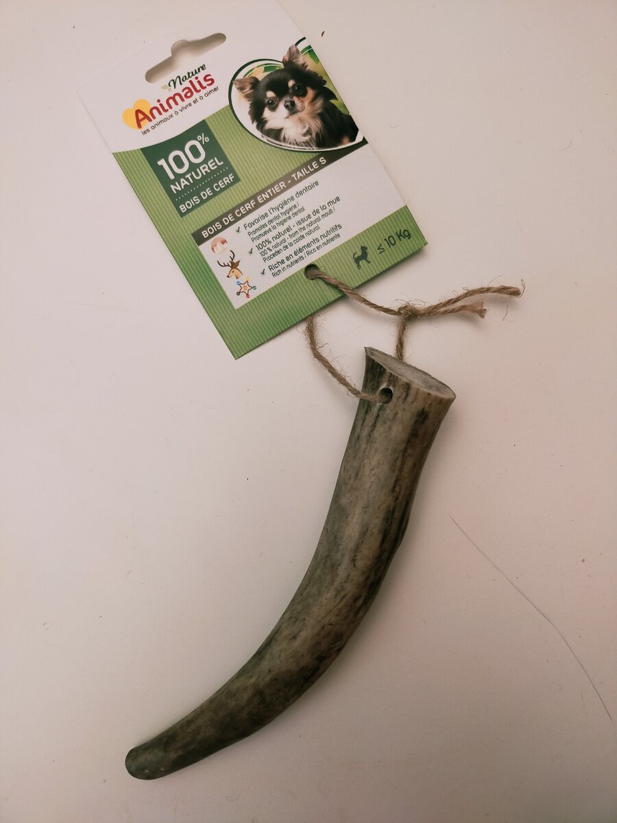 Вот этот кусочек спасительного рога)))