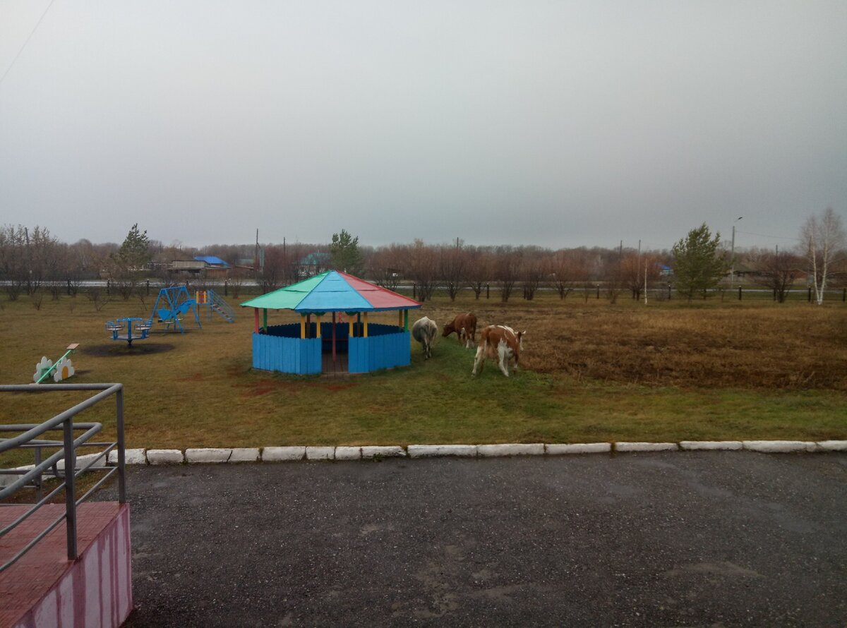 Жизнь в приволжской деревне дзен. Дилетанты из деревни. Юрга бродячий скот. Большой Коровеж река.