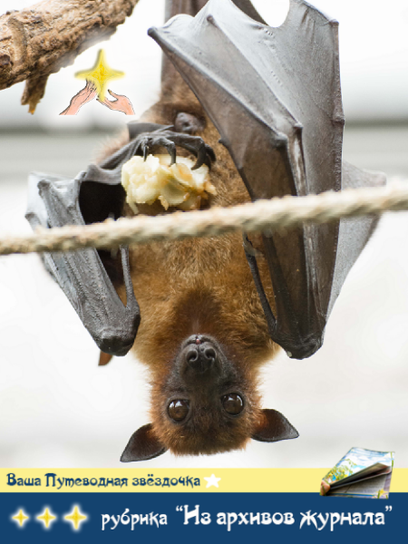 Photo by Johannes Giez on Unsplash