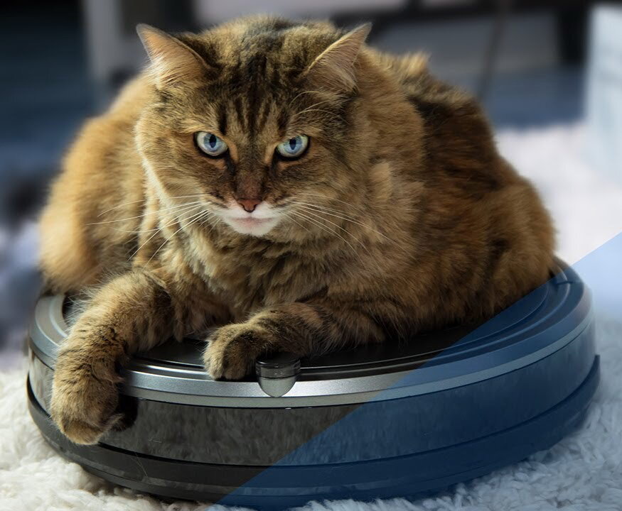 Это мой друг!