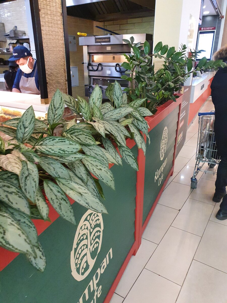 И по стилю заведения подходят