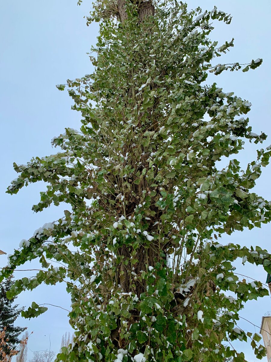 Фото автора.