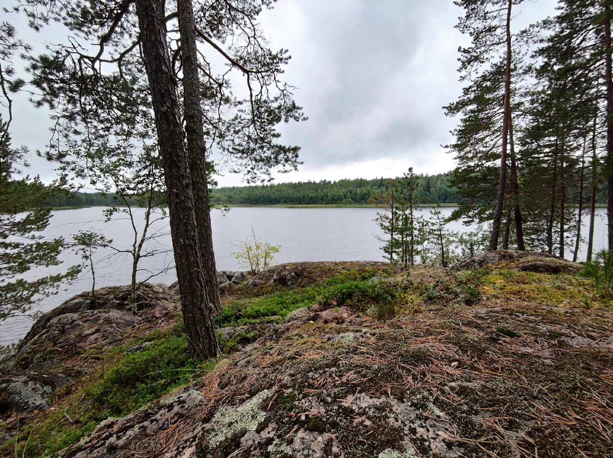 Ради этих видов и стоит ехать