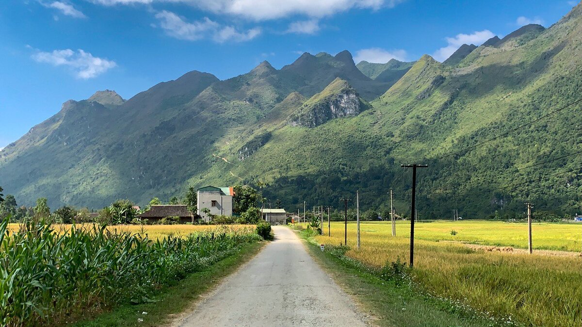 Вот, примерно так выглядит обычная дорога в тех краях