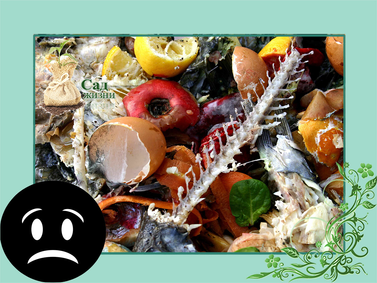 Не превращайте свое жилье в помойку