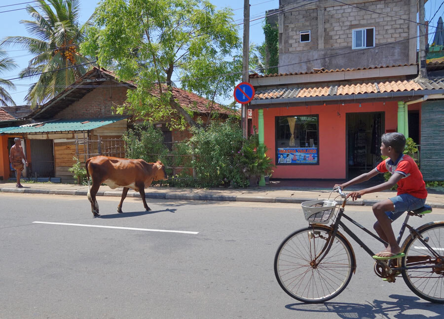 Ланкийский колорит на улицах городов