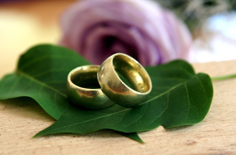 Источник фото: pixabay.com