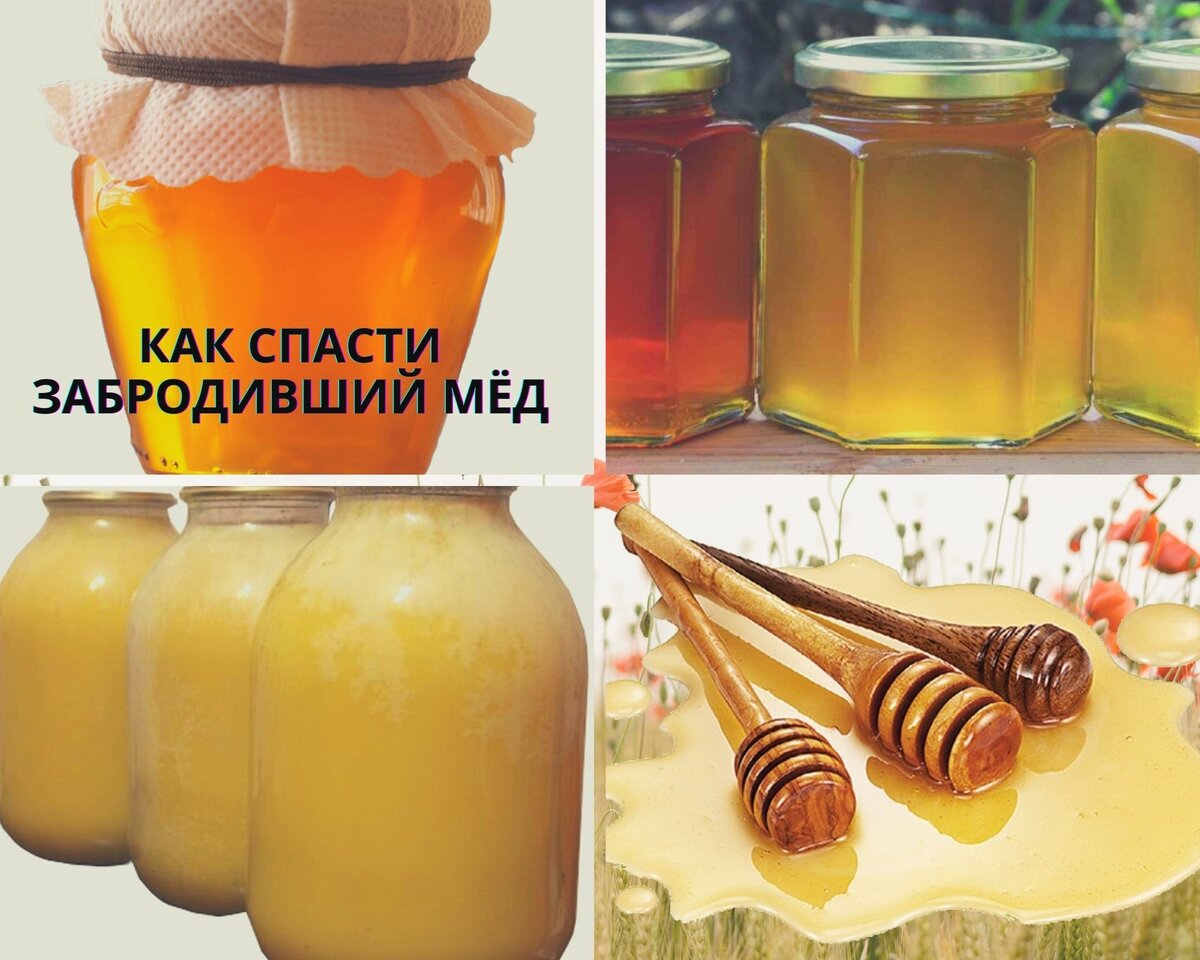 Как спасти забродивший мёд