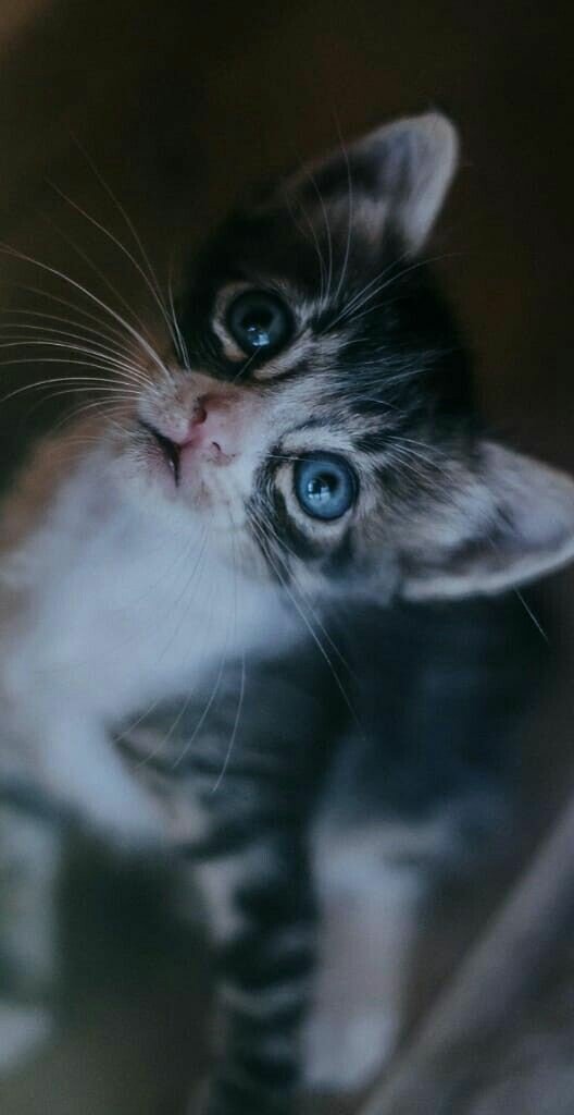 Источник фото Pinterest 