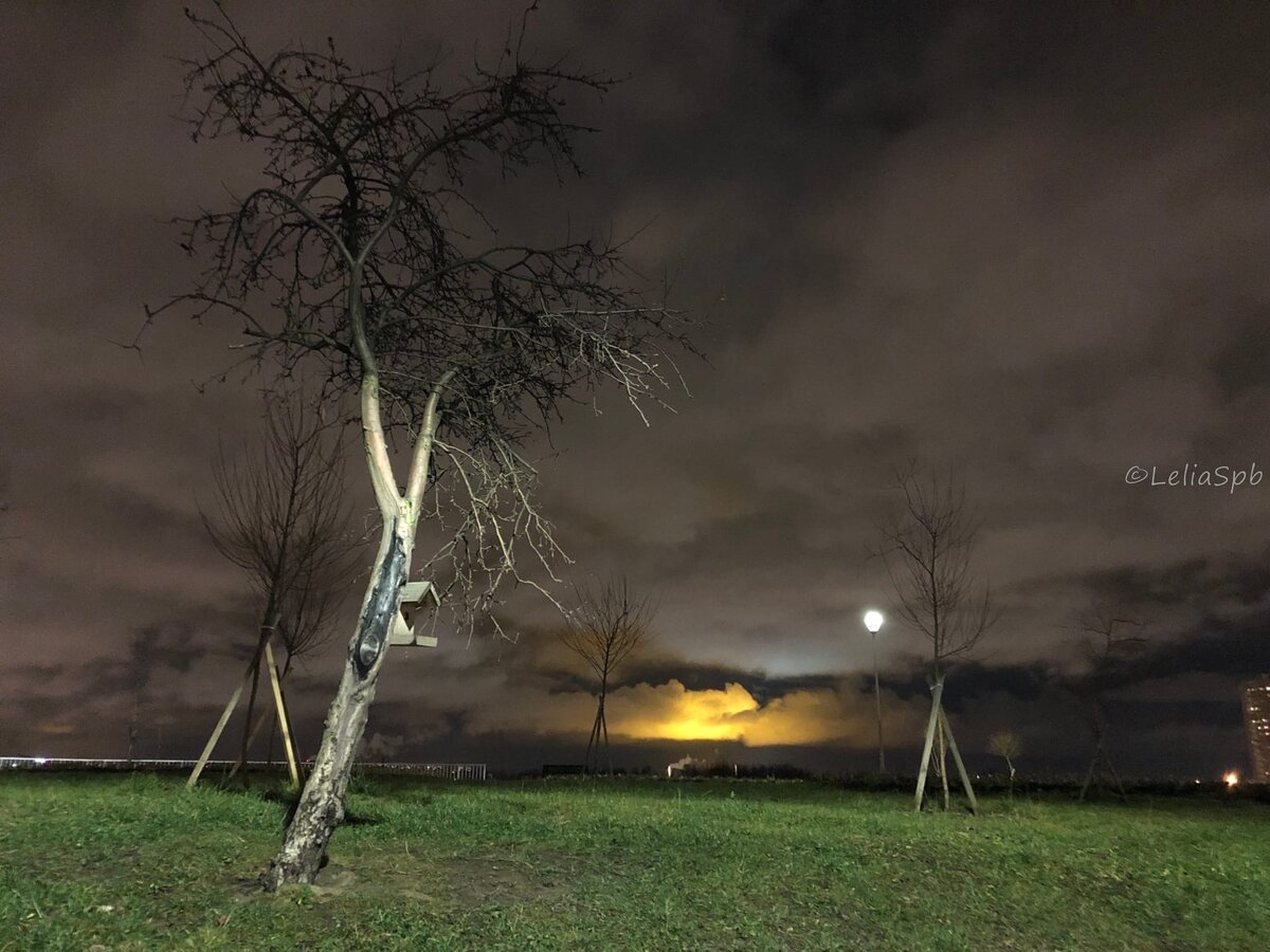 Фото из личного архива. Мой любимый парк Героев-пожарных.