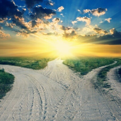 Дорога Жизни всегда разветвляется