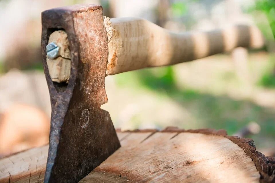 Фото: https://pixabay.com