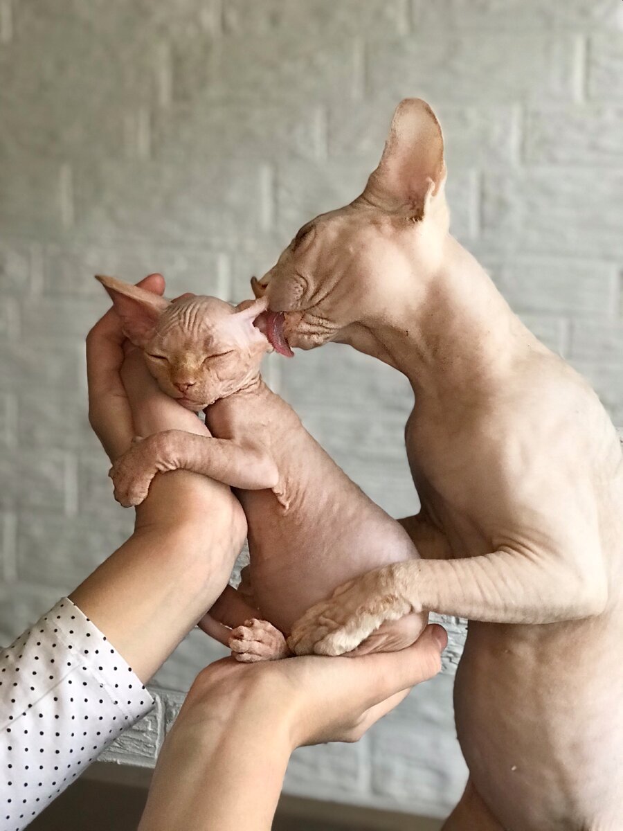 Мои любимки 💞