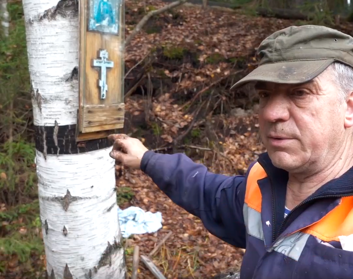 Источник: http://мыздесьживем.рф