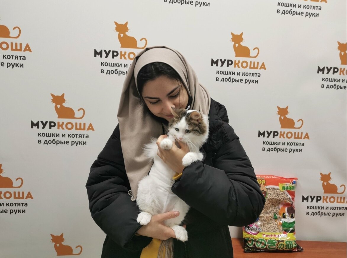 Счастье на мягких лапах вошло в дом 🐈🏠🐈 | Центр помощи кошкам «Муркоша»  | Дзен