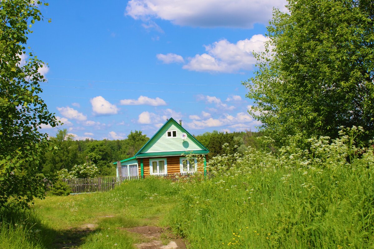 Сухоборка слободской. Деревня сухоборка слободской район кировская область. Погода в сухоборке кировской. Погода в сухоборке кировской. Деревня сухоборка воскресенского района нижегородской области.