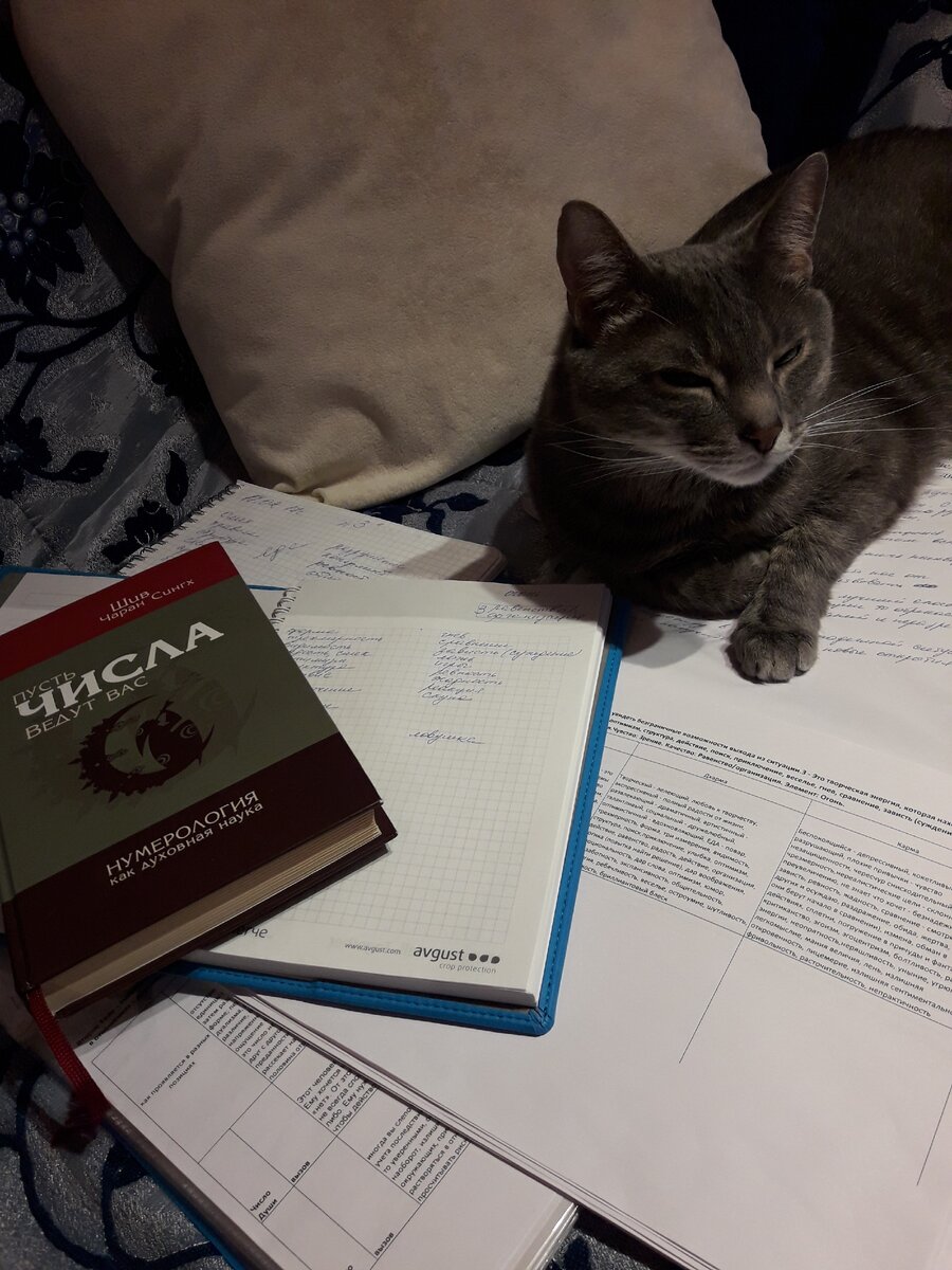 Фото автора