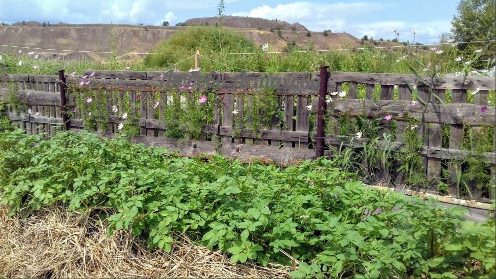 Мы спешим добывать новые блага, чтобы выровнять картинку