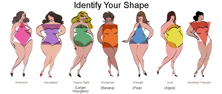 shape generally stays the same too.

