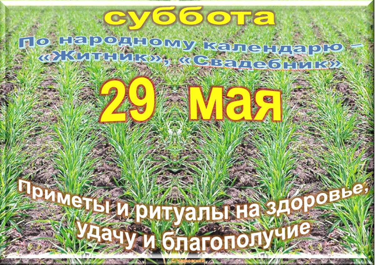 Встречаем новый день