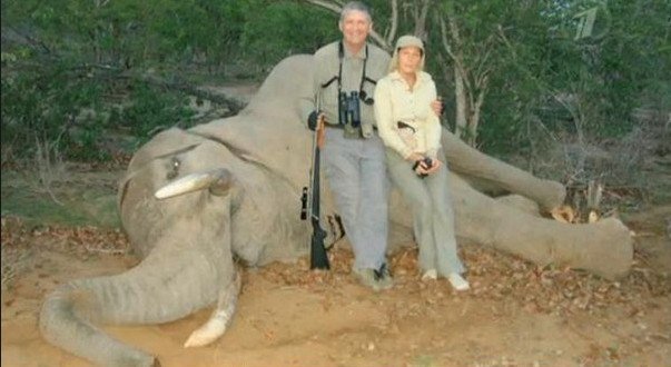 фото из свободного доступа в интернете