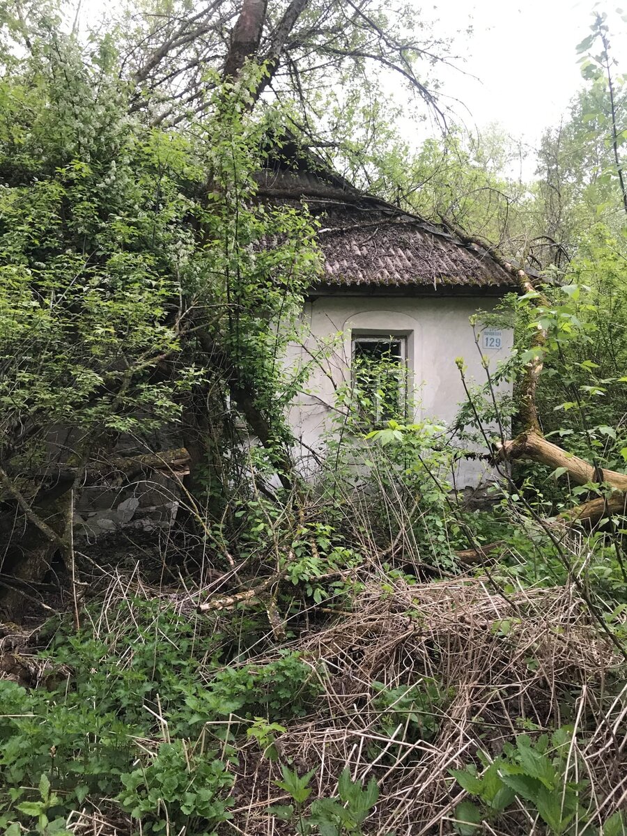 Село Стечанка, ЧЗО