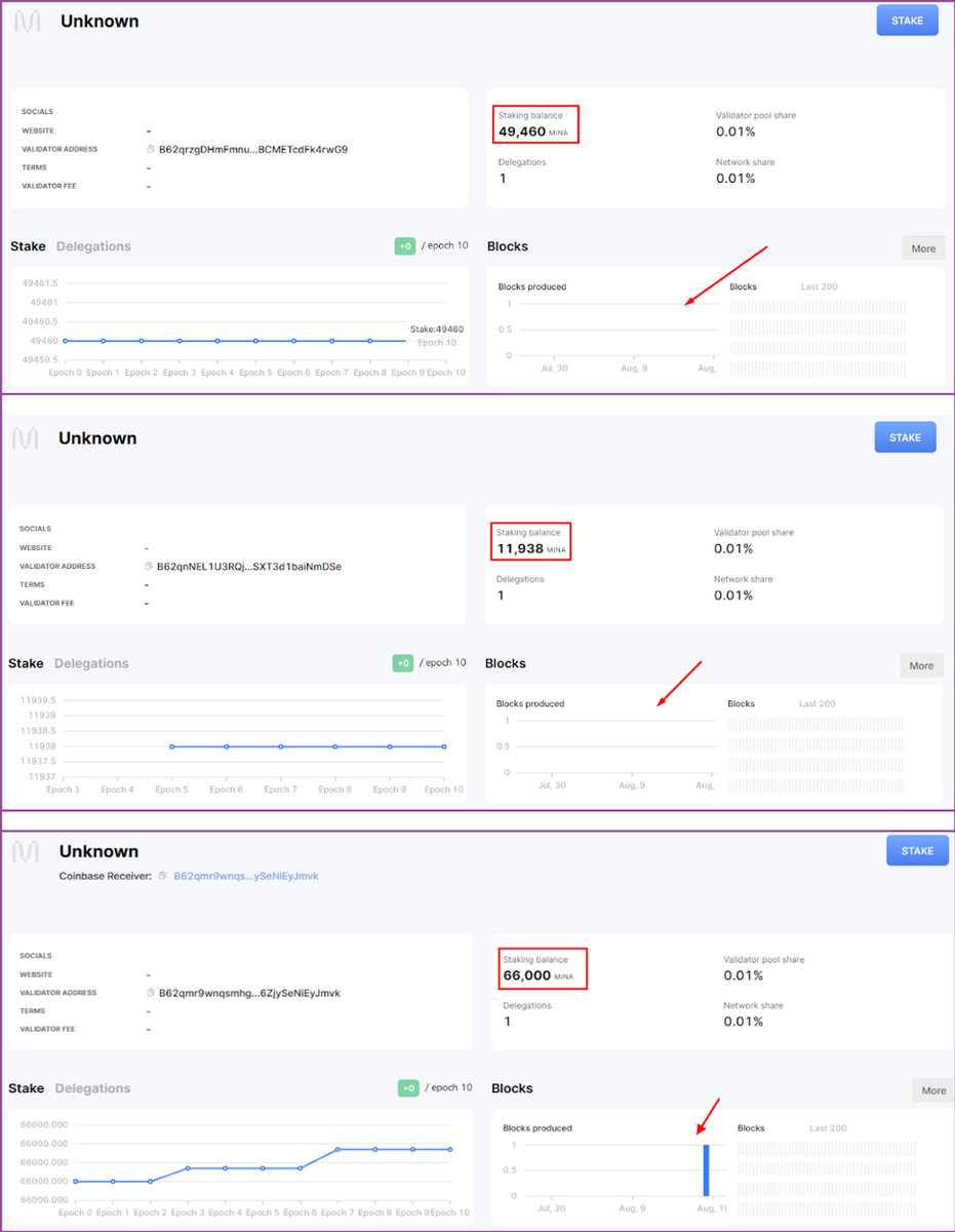 Стейкинг MINA  1 часть Проекта особенности