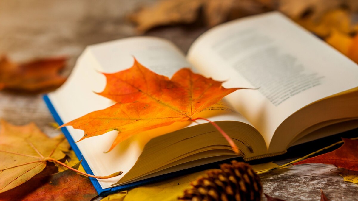 Фото с прошлого года