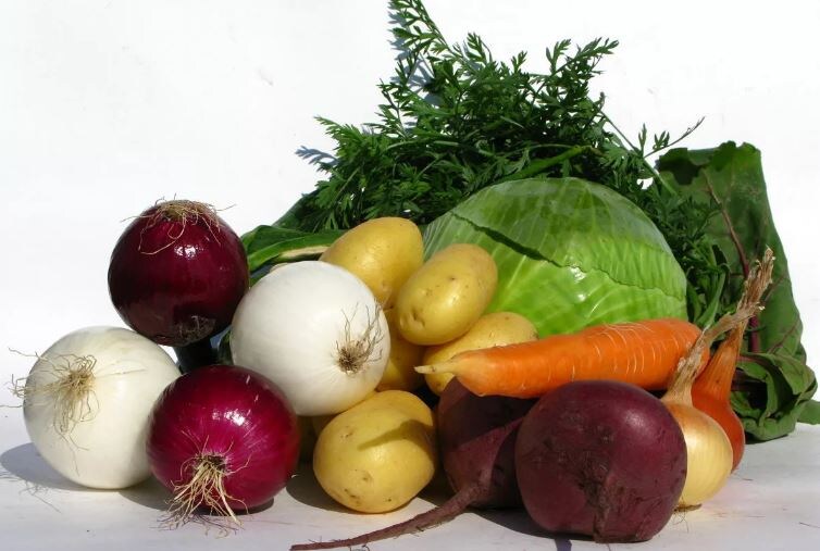 Это просто красивая картинка из сети, потому что фотографировать свои овощи так красиво я не умею) Да и морковка у нас выросла так себе) Не фотогеничная