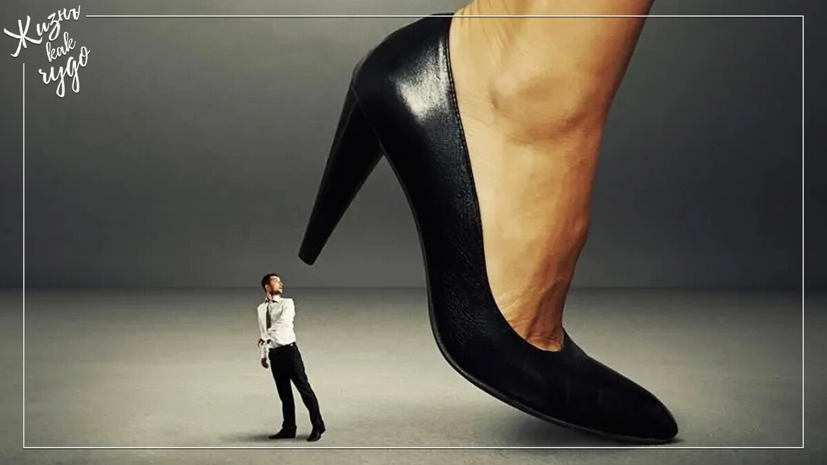 Источник фото: twimg.com