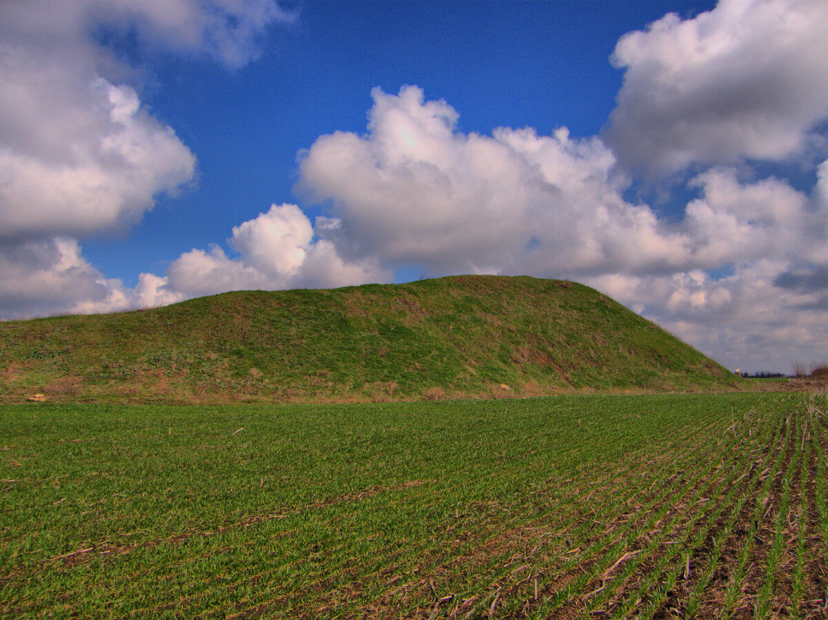 Курган Огуз