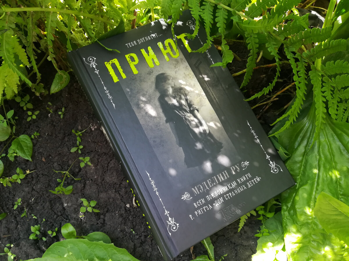 Книгу можно купить уже только из-за обложки